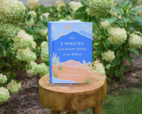 5 Minutes with Every Book of the Bible—New Testament: A Quick Reference Bible Study Guide to All 27 Books