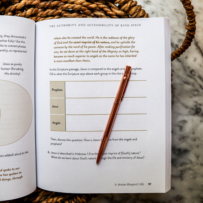A Jesus-Shaped Life Study Guide + Bible Standard Bundle