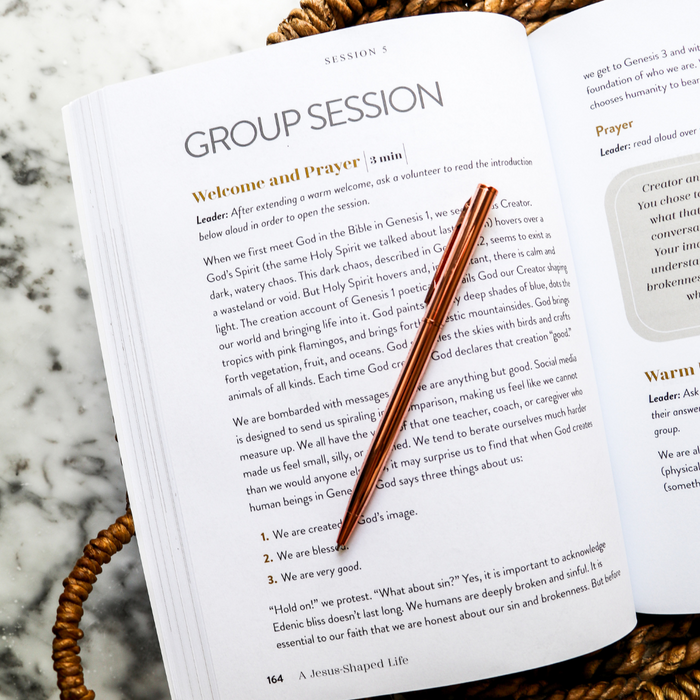 A Jesus-Shaped Life Study Guide + Bible Standard Bundle