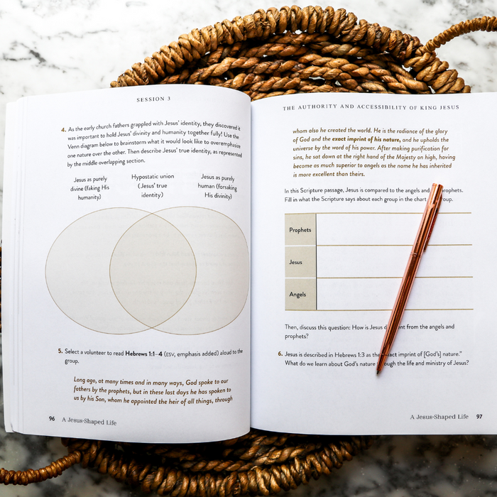 A Jesus-Shaped Life Study Guide + Bible Standard Bundle