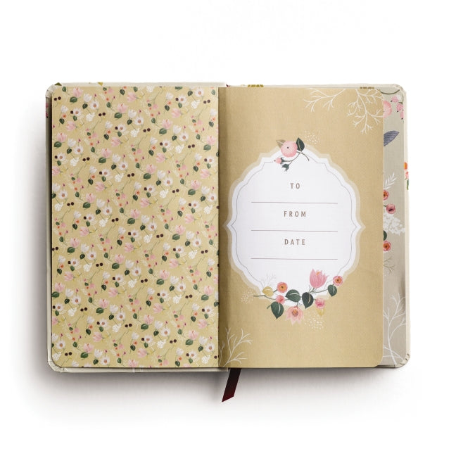 A Prayer a Day for Hope & Encouragement: A 365-Day Prayer Devotional for Busy Women