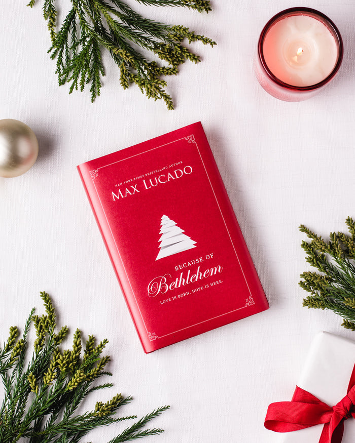 Because of Bethlehem Book + Study Guide Bundle