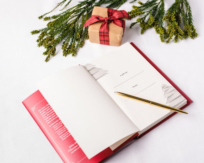 Because of Bethlehem Book + Study Guide Bundle