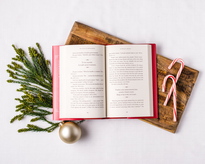 Because of Bethlehem Book + Study Guide Bundle