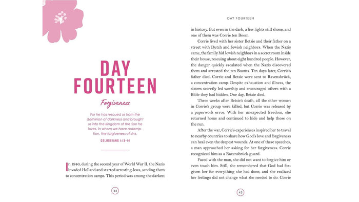 Beyond Brave: A 60-Day Devotional and Guided Journal for Young Women
