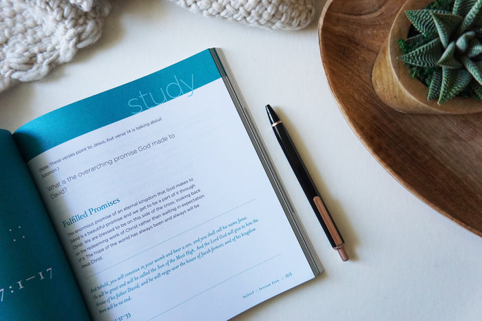 Chase Bible Study Guide plus Streaming Video, Updated Edition: Chasing After the Heart of God