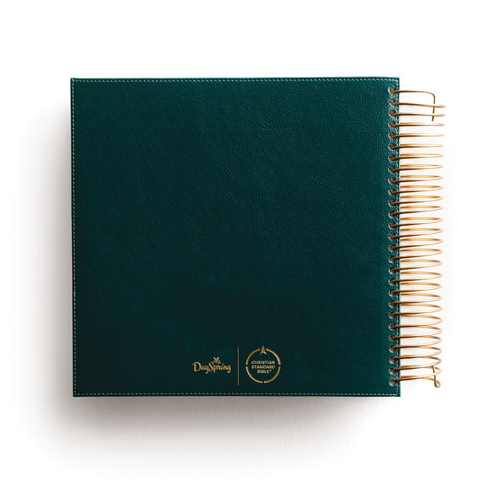 CSB, Spiral-bound Illustrating Bible, Leathersoft Spiral, Green: Draw, Write, and Reflect Your Way Through Scripture
