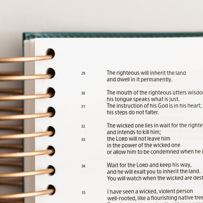 CSB, Spiral-bound Illustrating Bible, Leathersoft Spiral, Green: Draw, Write, and Reflect Your Way Through Scripture