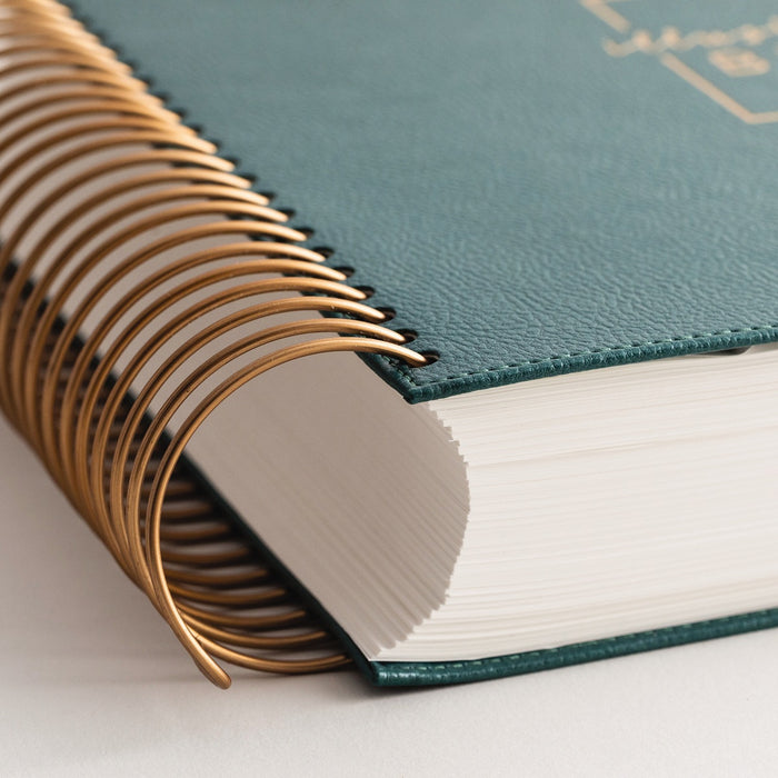 CSB, Spiral-bound Illustrating Bible, Leathersoft Spiral, Green: Draw, Write, and Reflect Your Way Through Scripture