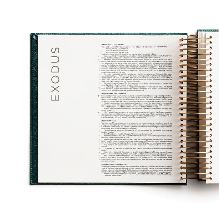 CSB, Spiral-bound Illustrating Bible, Leathersoft Spiral, Green: Draw, Write, and Reflect Your Way Through Scripture