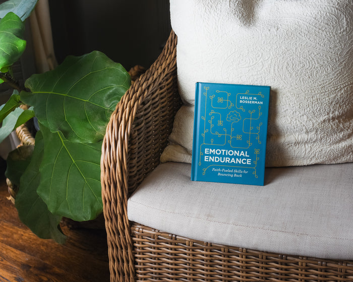 Emotional Endurance: Faith-Fueled Skills for Bouncing Back
