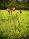 Exterior Rustic Rusty Metal Flowers Garden Art Garden Stake Yard Art Sculpture Spring Gift   Present