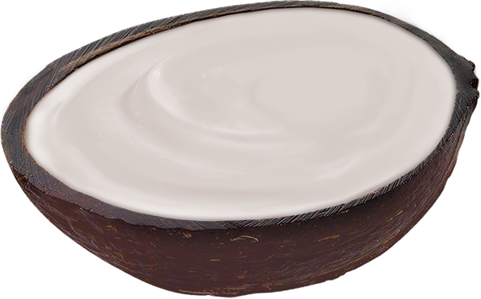 Island Way Sorbet:  Heavenly Coconut