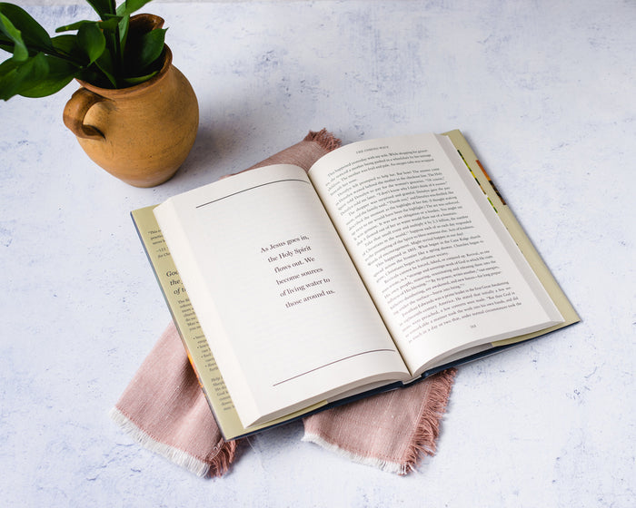 Help Is Here Study Guide + Bible + Book Bundle