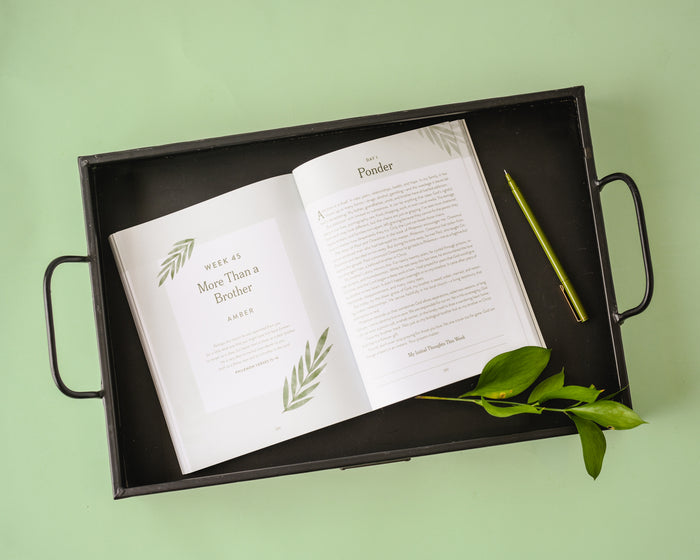 Hope for the Heartbroken: A 52-Week Walk with God for Those Living with Grief (A One-Year Devotional to Begin Healing after Loss)