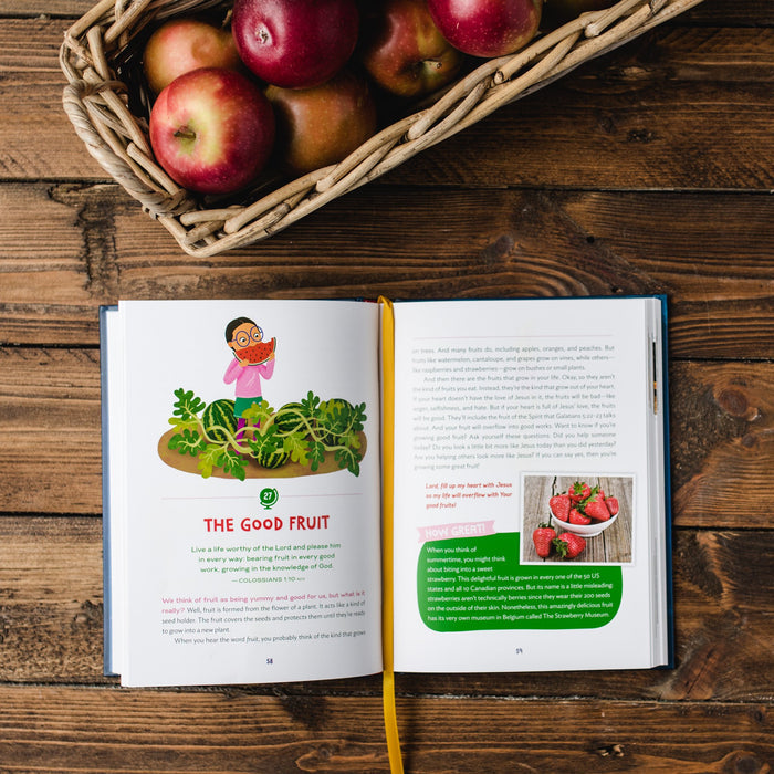 How Great Is Our God: Devotional and Lunchbox Cards Bundle