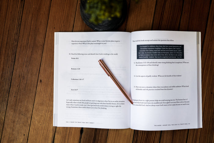 I Want to Trust You But I Don't Study Guide + Book + Devotional Premium Bundle