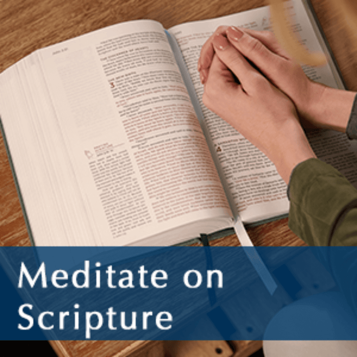 Jesus Calling 52-Week Bible Study: Experience the Presence of God