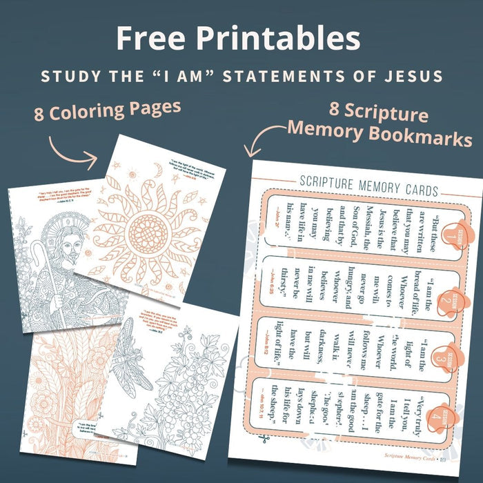 John: Believe I Am Study Guide + Journal + Bible Premium Bundle