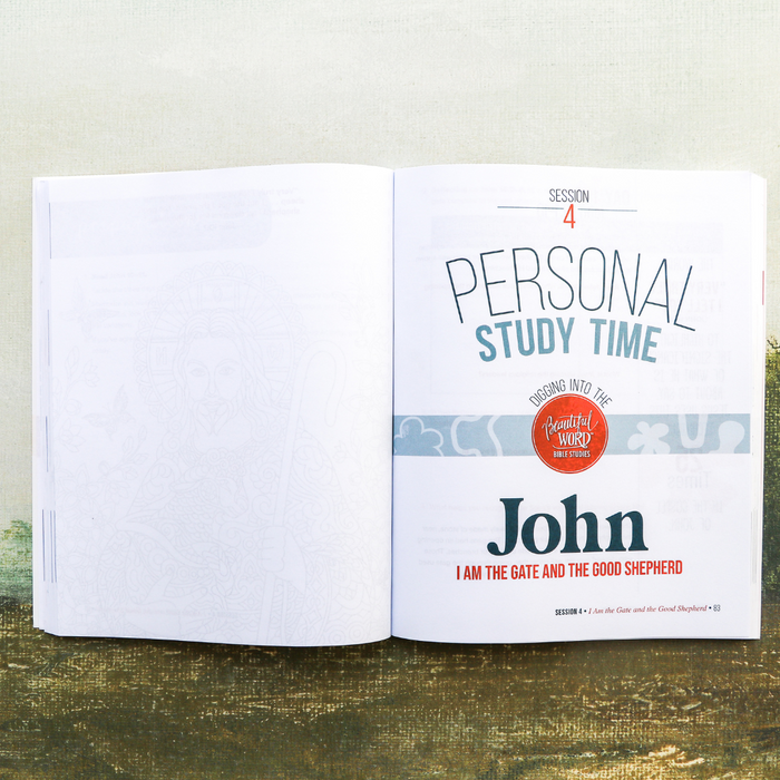 John: Believe I Am Study Guide + Journal Bundle