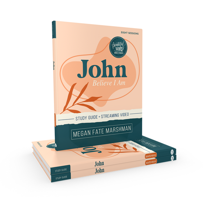John Bible Study Guide plus Streaming Video: Believe I Am 3 Pack Bundle