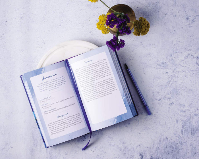 Journal Through The Bible 3-Pack Bundle