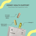 PlexusDx Kidney Health Support personalized daily supplement pack for renal wellness and kidney function