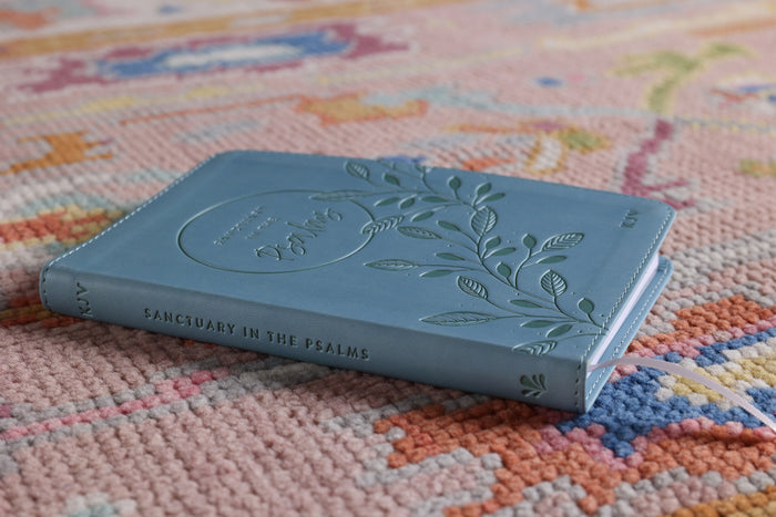 KJV, Sanctuary in the Psalms: Promise Book, Leathersoft, Blue