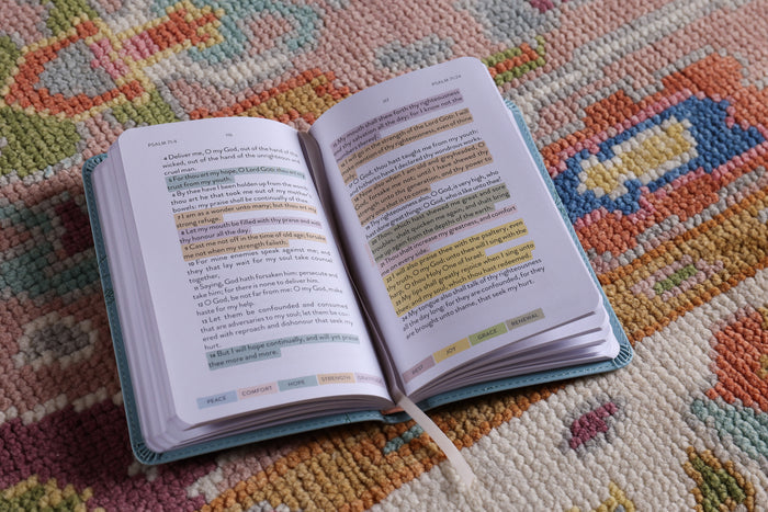 KJV, Sanctuary in the Psalms: Promise Book, Leathersoft, Blue