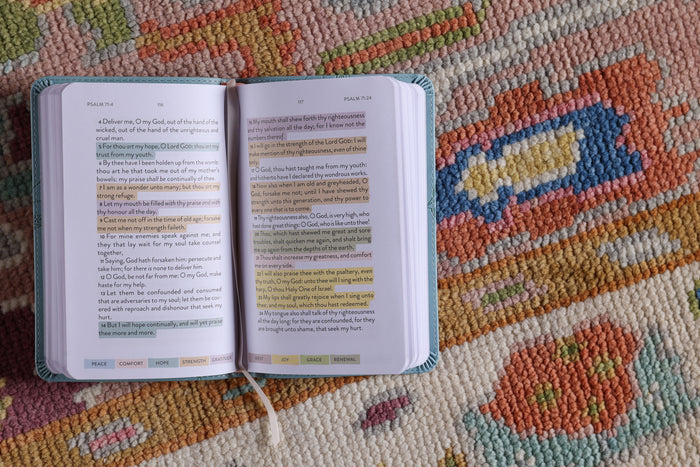 KJV, Sanctuary in the Psalms: Promise Book, Leathersoft, Blue