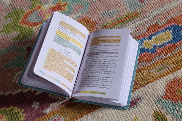 KJV, Sanctuary in the Psalms: Promise Book, Leathersoft, Blue