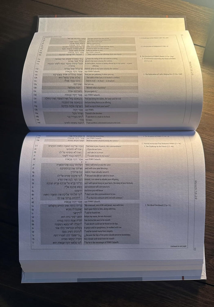 Malachi: A Discourse Analysis of the Hebrew Bible