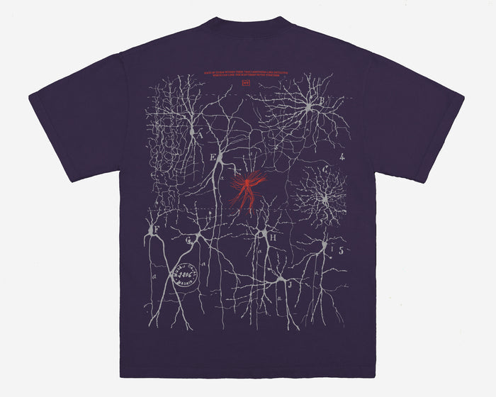 Nervous System