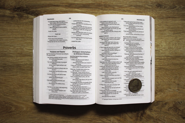 NIV, Heart of the Outdoors Bible, Paperback, Comfort Print: Encouragement for Hunters and Anglers