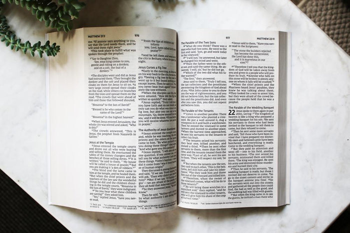 NIV, Jesus Everywhere Outreach Bible, Larger Print, Paperback, Comfort Print