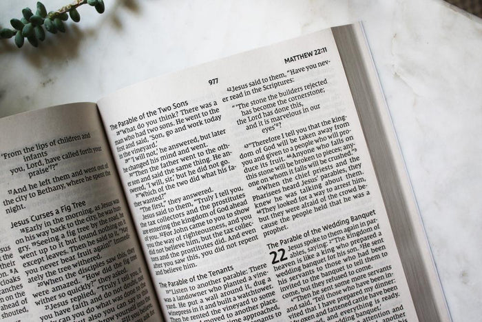 NIV, Jesus Everywhere Outreach Bible, Larger Print, Paperback, Comfort Print