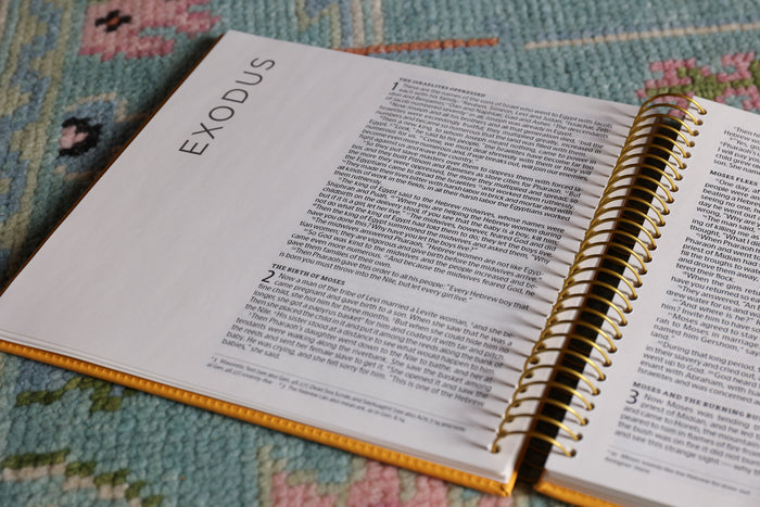 NIV, Spiral-bound Illustrating Bible: Genesis – Deuteronomy, Leathersoft Spiral, Yellow: Draw, Write, and Reflect Your Way Through Scripture