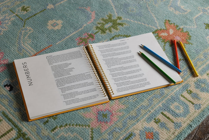 NIV, Spiral-bound Illustrating Bible: Genesis – Deuteronomy, Leathersoft Spiral, Yellow: Draw, Write, and Reflect Your Way Through Scripture