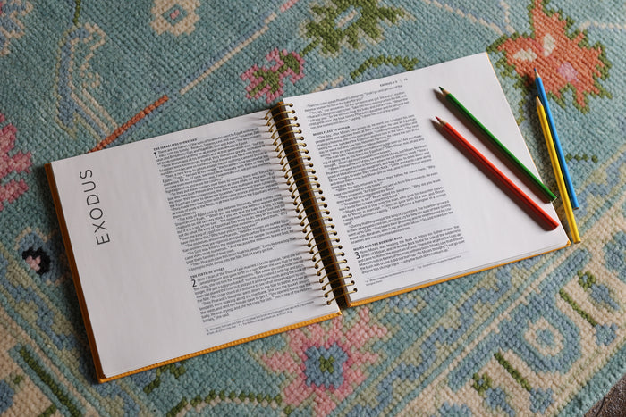 NIV, Spiral-bound Illustrating Bible: Genesis – Deuteronomy, Leathersoft Spiral, Yellow: Draw, Write, and Reflect Your Way Through Scripture