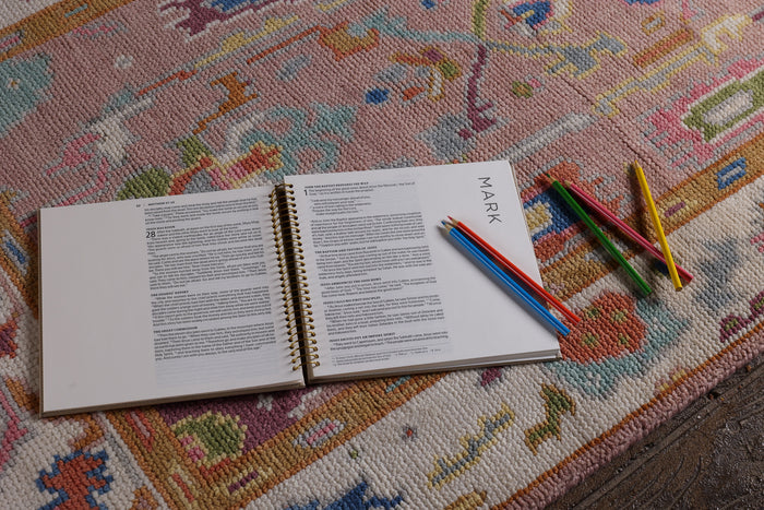NIV, Spiral-bound Illustrating Bible: The Gospels, Leathersoft Spiral, Tan: Draw, Write, and Reflect Your Way Through Scripture