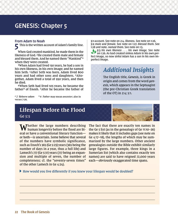 NIV Study Bible Essential Guide to Genesis, Paperback, Red Letter, Comfort Print