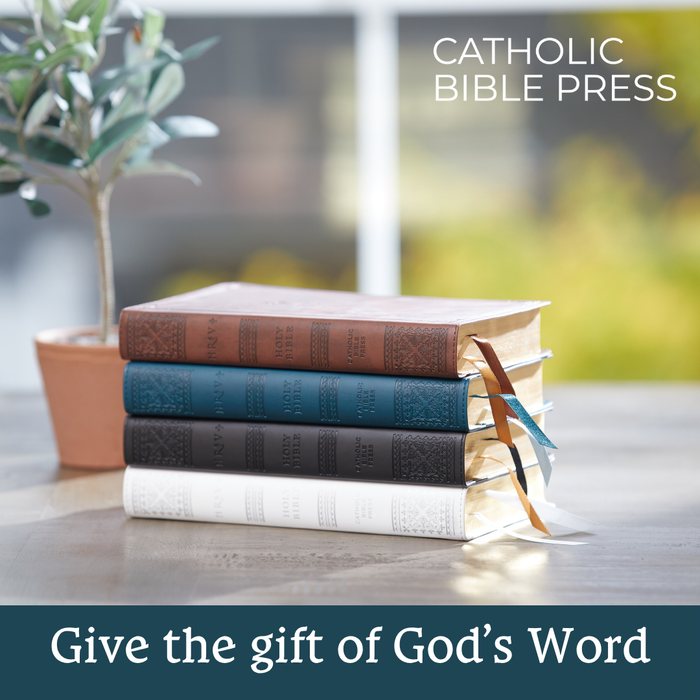 NRSV, Catholic Bible, Gift Edition, Comfort Print: Holy Bible