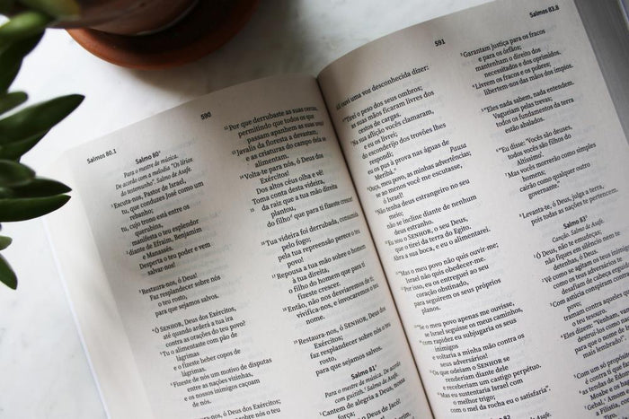 NVI, Portuguese NVI Bible, Paperback: Biblia Sagrada Nova Versao Internacional