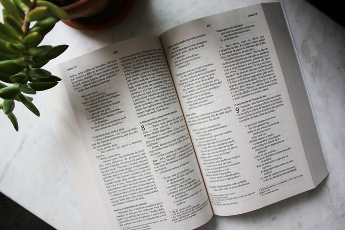 NVI, Portuguese NVI Bible, Paperback: Biblia Sagrada Nova Versao Internacional