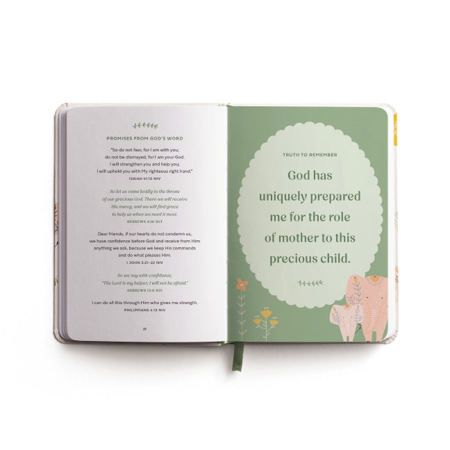 Prayers and Affirmations for You and Your Baby: A 45-Day Prayer Devotional to Inspire and Reassure New and Expectant Mothers
