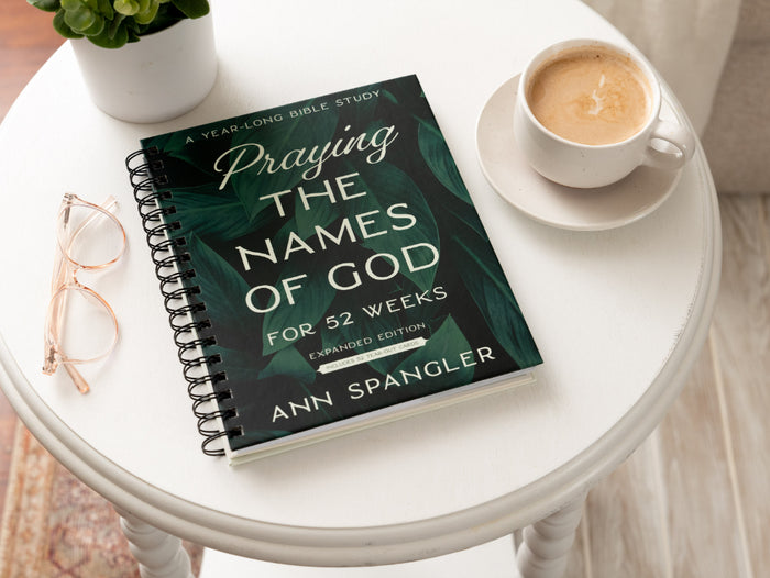 Praying the Names of God for 52 Weeks with Bonus Tear-Out Cards: A Year-Long Bible Study