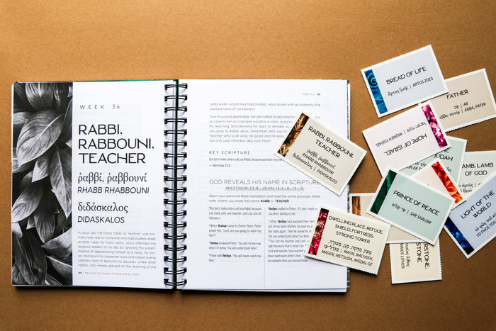 Praying the Names of God for 52 Weeks with Bonus Tear-Out Cards: A Year-Long Bible Study
