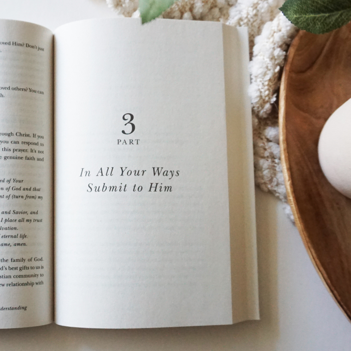 Relaxed Bible Study Guide + Book Essentials Bundle