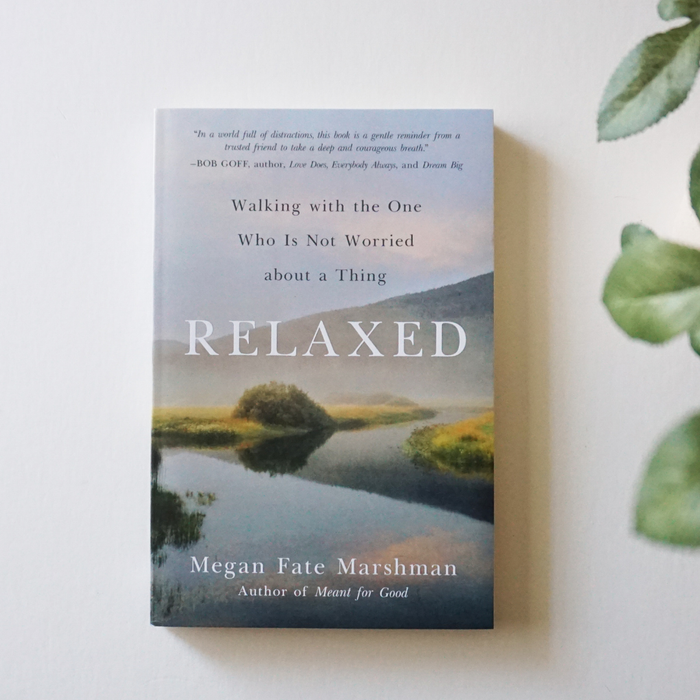 Relaxed Bible Study Guide + Book Essentials Bundle