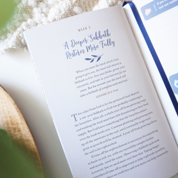 Relaxed Bible Study Guide + Book + Journal Premium Bundle